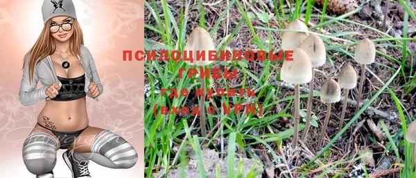 дживик Вяземский